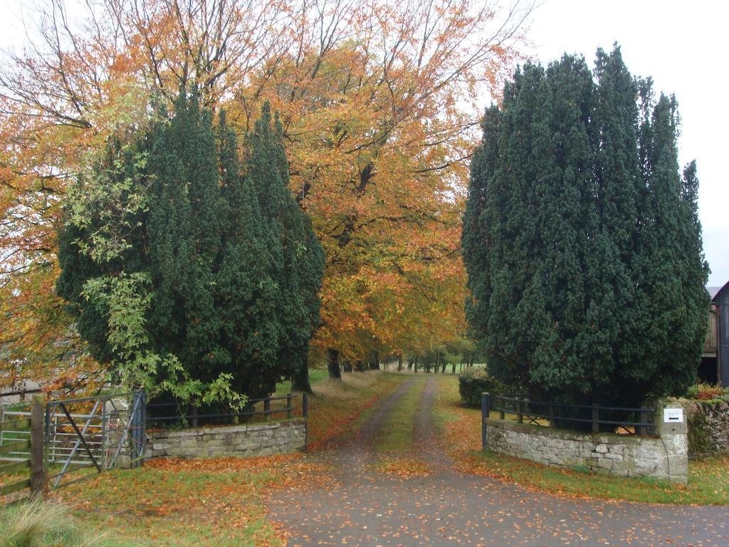 Abbotshaw House Farm B&B Newcastleton Ngoại thất bức ảnh