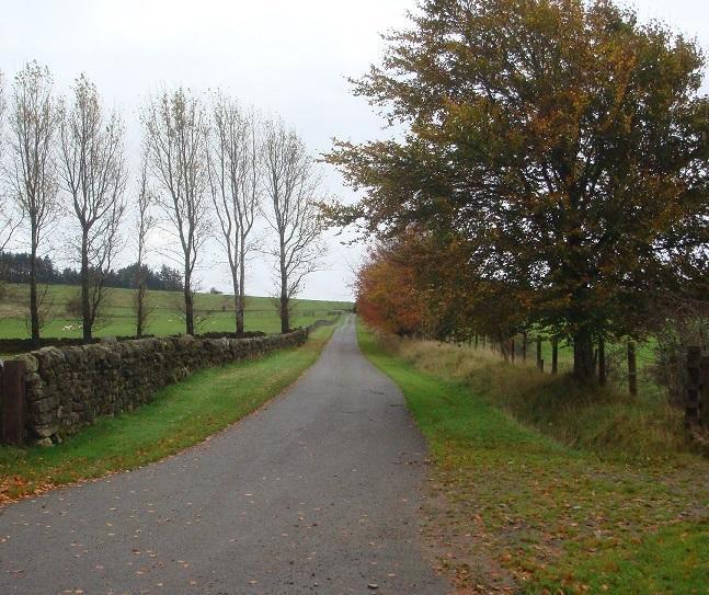 Abbotshaw House Farm B&B Newcastleton Ngoại thất bức ảnh
